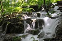 Plitvice National Park 1 - 53b13b32-7ba4-4f71-8b8a-93395bf2f3b8