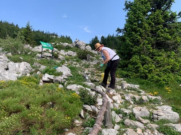 Njegovatelj planinskih biljaka