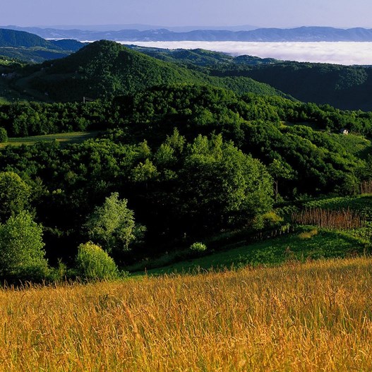 Žumberak-Samobor highlands