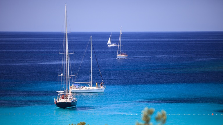 Boat trips and rentals