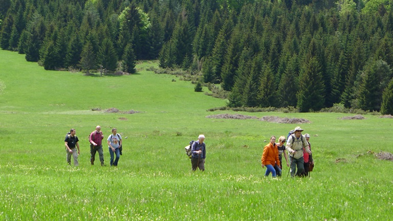 Planinarenje/hodanje