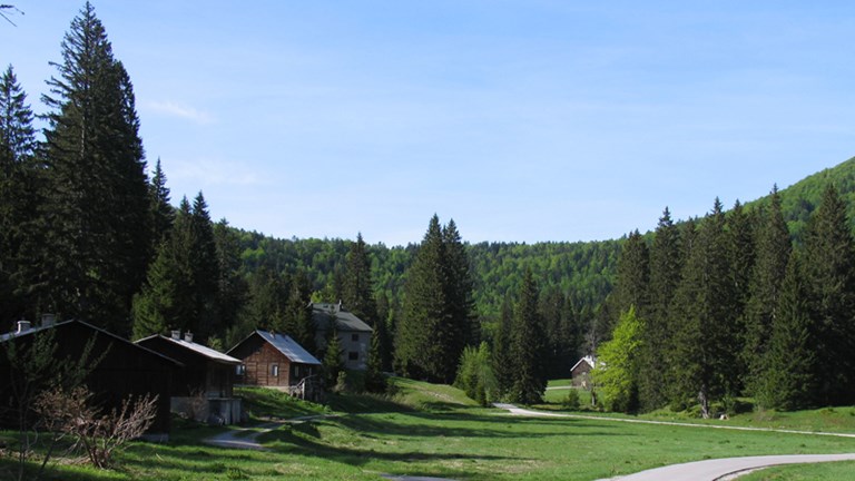 Štirovača