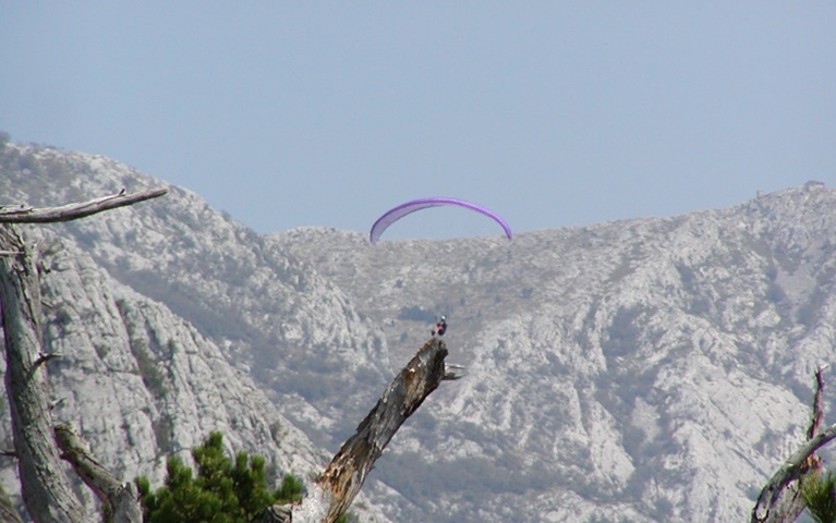 Paragliding and flying