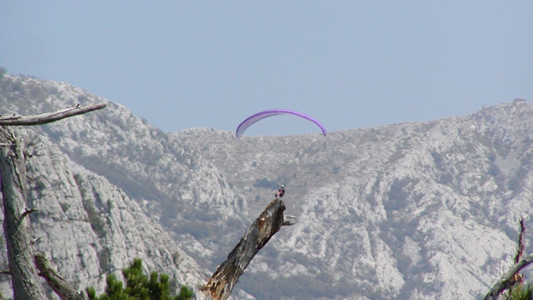 Paragliding and flying