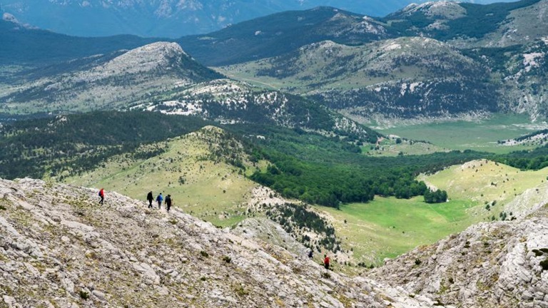 Planinarenje/hodanje