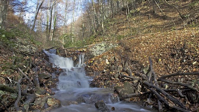 Majsecov mlin, Donja Stubica