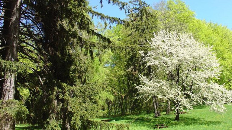 Mlin Ferenčak, Bidrovec