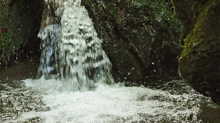 Mlin Gračanski Ribnjak