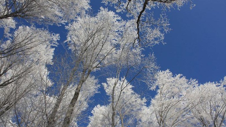 Mlin Jakopović, Čučerje