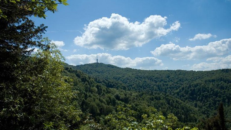 Mlin Ročić, Markuševečka Trnava