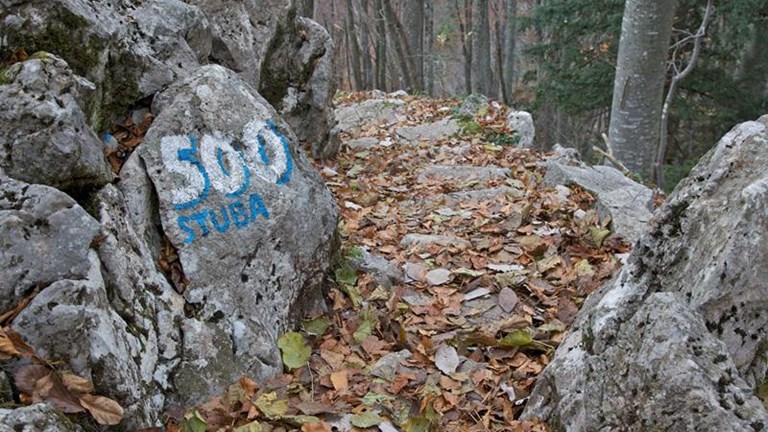 Petsto Horvatovih stuba