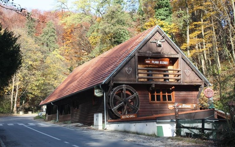 Bliznec sawmill
