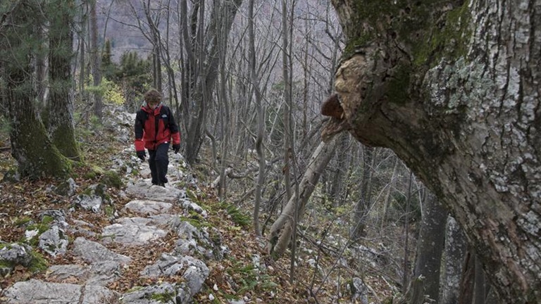 Planinarenje/hodanje