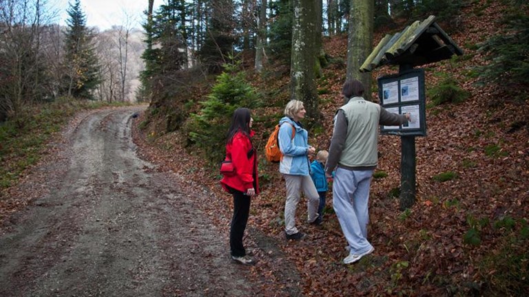 Poučna staza Bistra