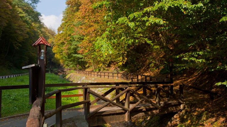 Šumska staza Bliznec