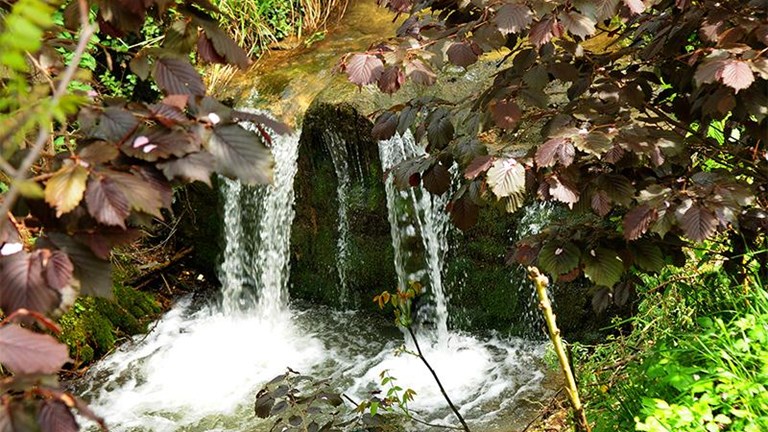 Zidani mlin Dubravica