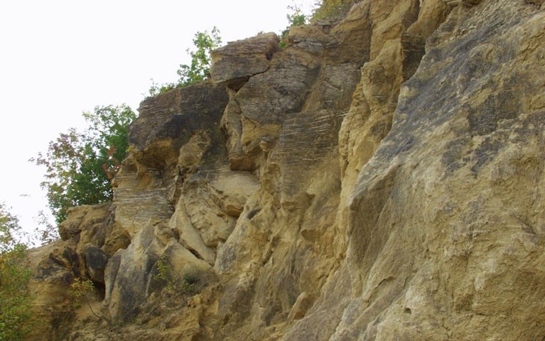 Geological site Vrhovci