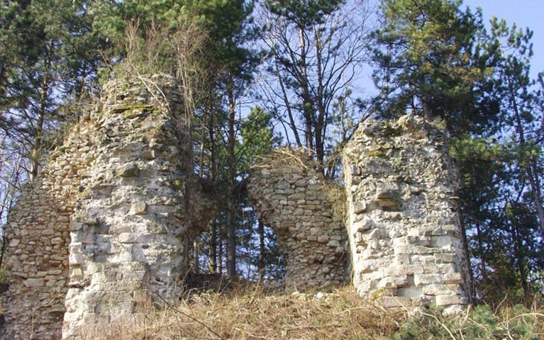 Fortress of Voćin