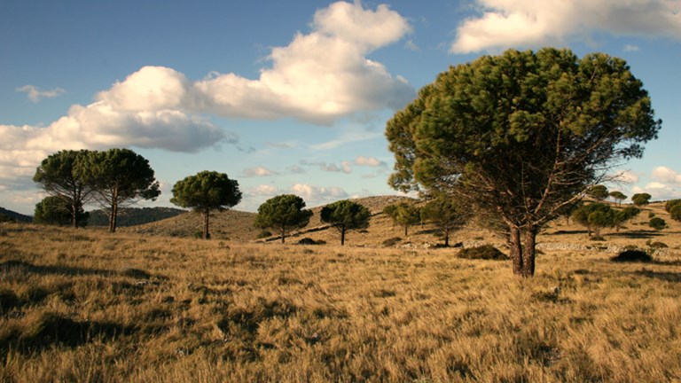 Ilirski grob u Čuhu