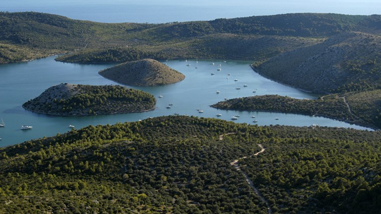 Uvala Čuška dumboka