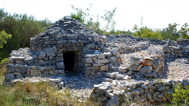 Tradicionalna bunja  (19.–20. stoljeće)