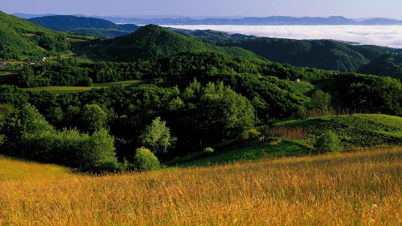 Žumberak-Samobor highlands