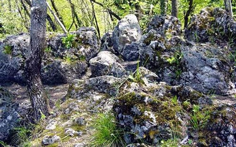 Kameni svatovi
